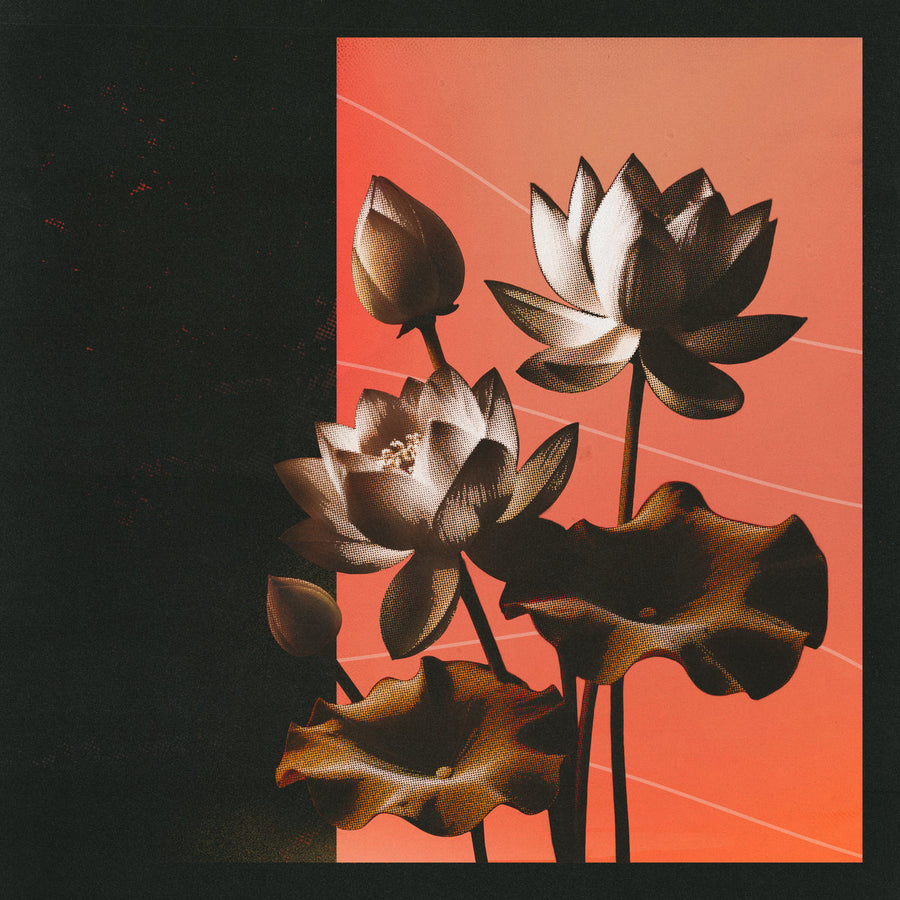 Lotus EP